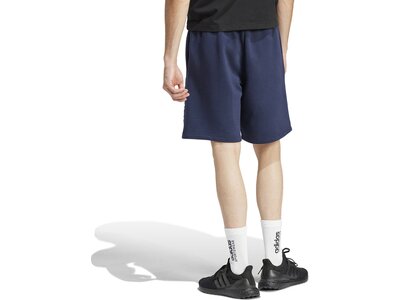 ADIDAS Herren Shorts ALL SZN Graphic Grau