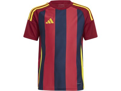 ADIDAS Kinder Trikot Striped 24 Kids Lila