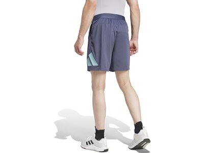 ADIDAS Herren Shorts Train Essentials Logo Training (Länge 7 Zoll) Grau