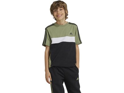 ADIDAS Kinder Shirt Tiberio 3-Streifen Colorblock Cotton Kids Grau