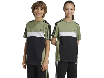 ADIDAS Kinder Shirt Tiberio 3-Streifen Colorblock Cotton Kids Grau