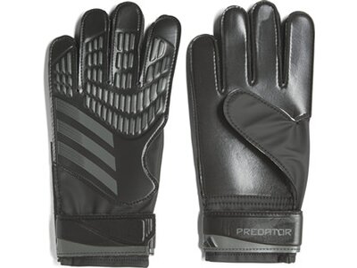 ADIDAS Herren Handschuhe PRED GL TRN Grau