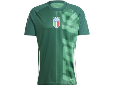 ADIDAS Herren Fantrikot Italien Pre-Match Shirt Grün