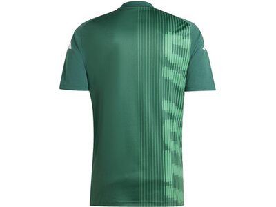 ADIDAS Herren Fantrikot Italien Pre-Match Shirt Grün
