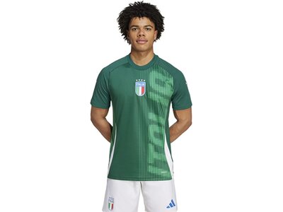 ADIDAS Herren Fantrikot Italien Pre-Match Shirt Grün