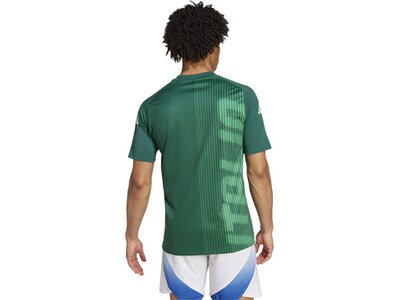 ADIDAS Herren Fantrikot Italien Pre-Match Shirt Grün