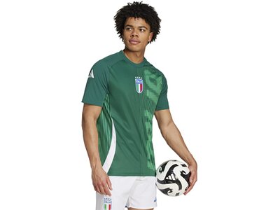 ADIDAS Herren Fantrikot Italien Pre-Match Shirt Grün