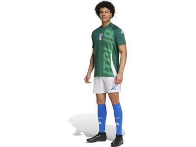 ADIDAS Herren Fantrikot Italien Pre-Match Shirt Grün