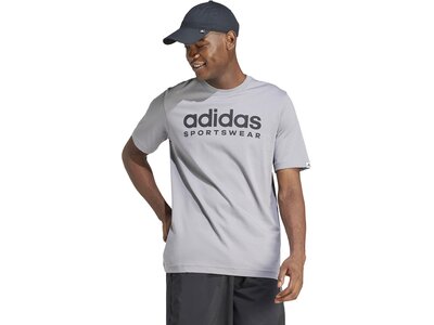ADIDAS Herren Shirt adidas Graphic Grau