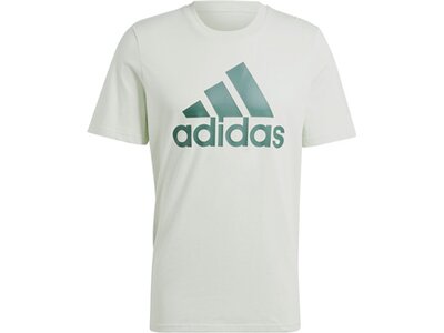 ADIDAS Herren Shirt Essentials Single Jersey Big Logo Grau