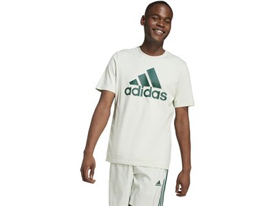 ADIDAS Herren Shirt Essentials Single Jersey Big Logo Grau