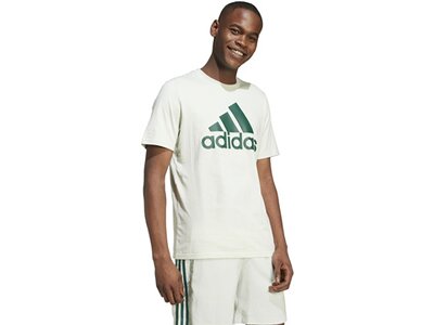 ADIDAS Herren Shirt Essentials Single Jersey Big Logo Grau