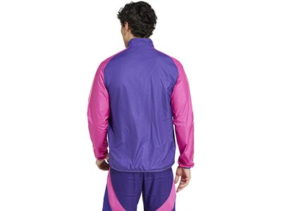 ADIDAS Herren Fanjacke DFB Anthem Lila