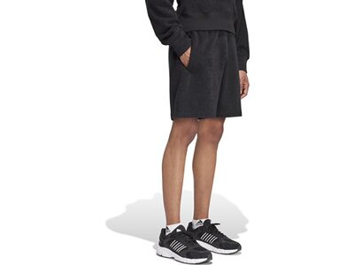 ADIDAS Herren Shorts Elevated ALL SZN Terry Loop Schwarz