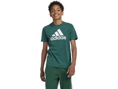ADIDAS Kinder Shirt Essentials Big Logo Cotton Grün