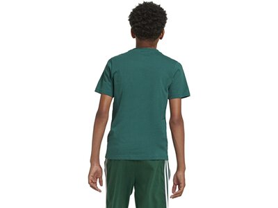ADIDAS Kinder Shirt Essentials Big Logo Cotton Grün