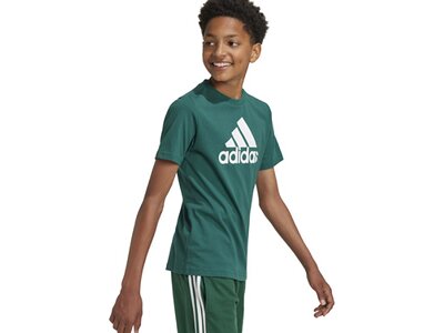 ADIDAS Kinder Shirt Essentials Big Logo Cotton Grün