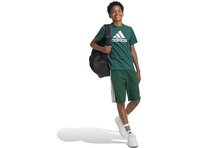 ADIDAS Kinder Shirt Essentials Big Logo Cotton Grün