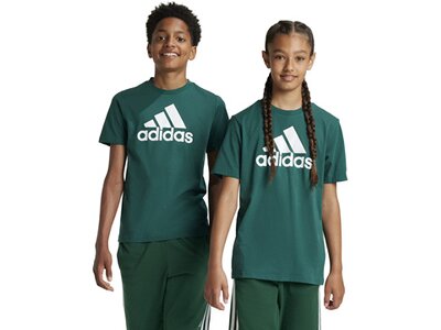 ADIDAS Kinder Shirt Essentials Big Logo Cotton Grün