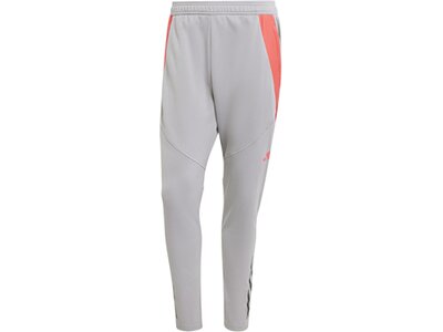 ADIDAS Herren Sporthose Tiro 24 Competition Winterized Silber