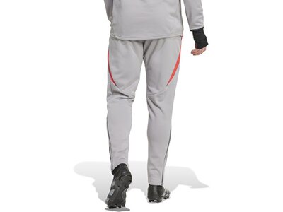 ADIDAS Herren Sporthose Tiro 24 Competition Winterized Silber