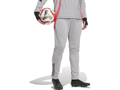 ADIDAS Herren Sporthose Tiro 24 Competition Winterized Silber