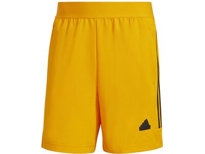 ADIDAS Herren Shorts House of Tiro Nations Pack (normal & lang) Braun