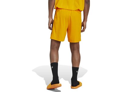 ADIDAS Herren Shorts House of Tiro Nations Pack (normal & lang) Braun
