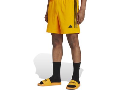ADIDAS Herren Shorts House of Tiro Nations Pack (normal & lang) Braun