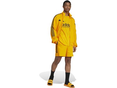 ADIDAS Herren Shorts House of Tiro Nations Pack (normal & lang) Braun