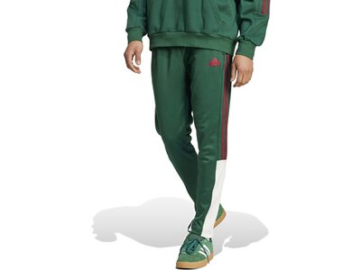 ADIDAS Herren Hose House of Tiro Nations Pack (normal & lang) Grün