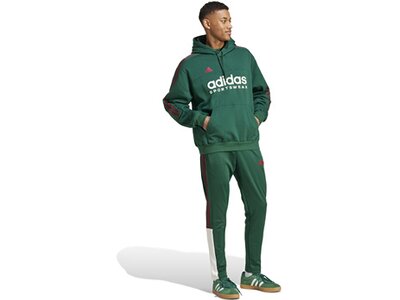 ADIDAS Herren Hose House of Tiro Nations Pack (normal & lang) Grün