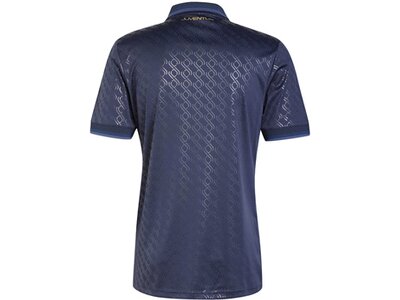 ADIDAS Herren Trikot Juventus Turin 24/25 Ausweichtrikot Blau