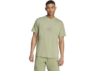 ADIDAS Herren Shirt ALL SZN Graphic Seasonal (normal & lang) Braun