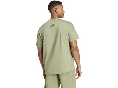 ADIDAS Herren Shirt ALL SZN Graphic Seasonal (normal & lang) Braun