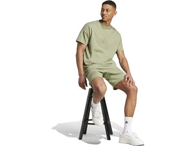 ADIDAS Herren Shirt ALL SZN Graphic Seasonal (normal & lang) Braun