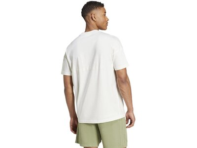 ADIDAS Herren Shirt ALL SZN Graphic Weiß
