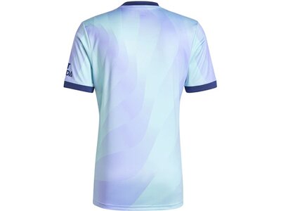 ADIDAS Herren Trikot Arsenal 24/25 Ausweichtrikot Blau