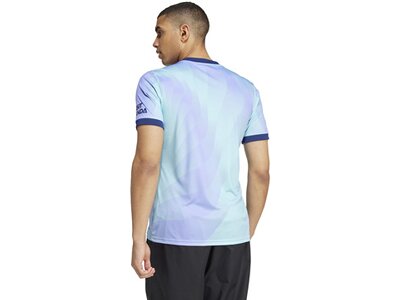ADIDAS Herren Trikot Arsenal 24/25 Ausweichtrikot Blau