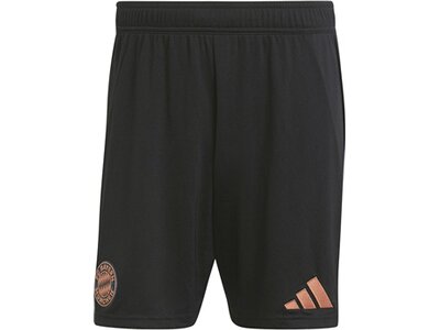 ADIDAS Herren Teamhose FC Bayern München 24/25 Auswärts Schwarz