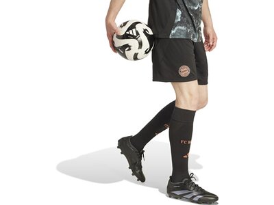 ADIDAS Herren Teamhose FC Bayern München 24/25 Auswärts Schwarz