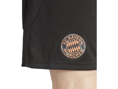 ADIDAS Herren Teamhose FC Bayern München 24/25 Auswärts Schwarz