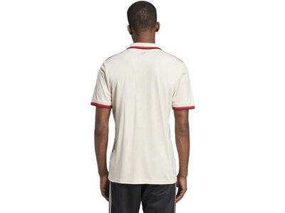 ADIDAS Herren Trikot FC Bayern München 24/25 Ausweichtrikot Pink