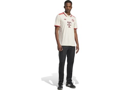 ADIDAS Herren Trikot FC Bayern München 24/25 Ausweichtrikot Pink