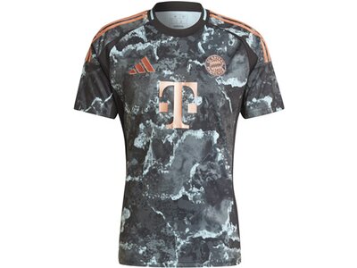ADIDAS Herren Trikot FC Bayern München 24/25 Auswärtstrikot Grau