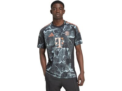 ADIDAS Herren Trikot FC Bayern München 24/25 Auswärtstrikot Grau