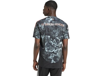 ADIDAS Herren Trikot FC Bayern München 24/25 Auswärtstrikot Grau
