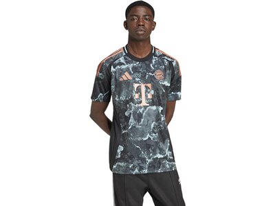 ADIDAS Herren Trikot FC Bayern München 24/25 Auswärtstrikot Grau