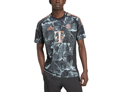 ADIDAS Herren Trikot FC Bayern München 24/25 Auswärtstrikot Grau