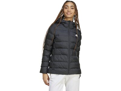 ADIDAS Damen Jacke SDP Insulated Grau